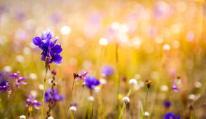 Davon sind wir beileibe noch ziemlich wit entfernt.