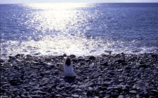 Sonnenuntergang am Strand