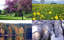 Die vier Jahreszeiten